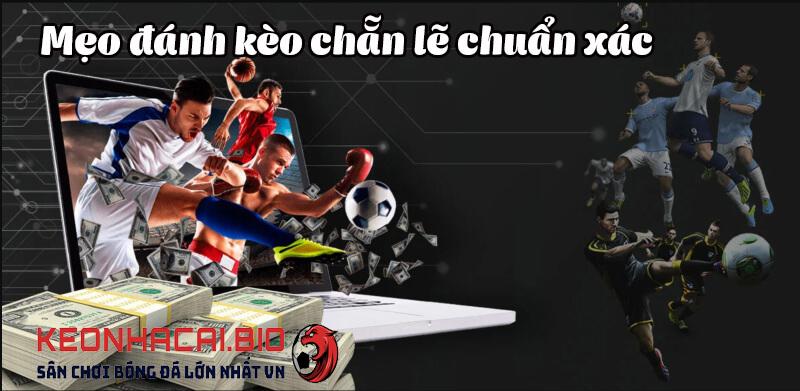Khám phá top app kiếm tiền uy tín và hiệu quả nhất hiện nay